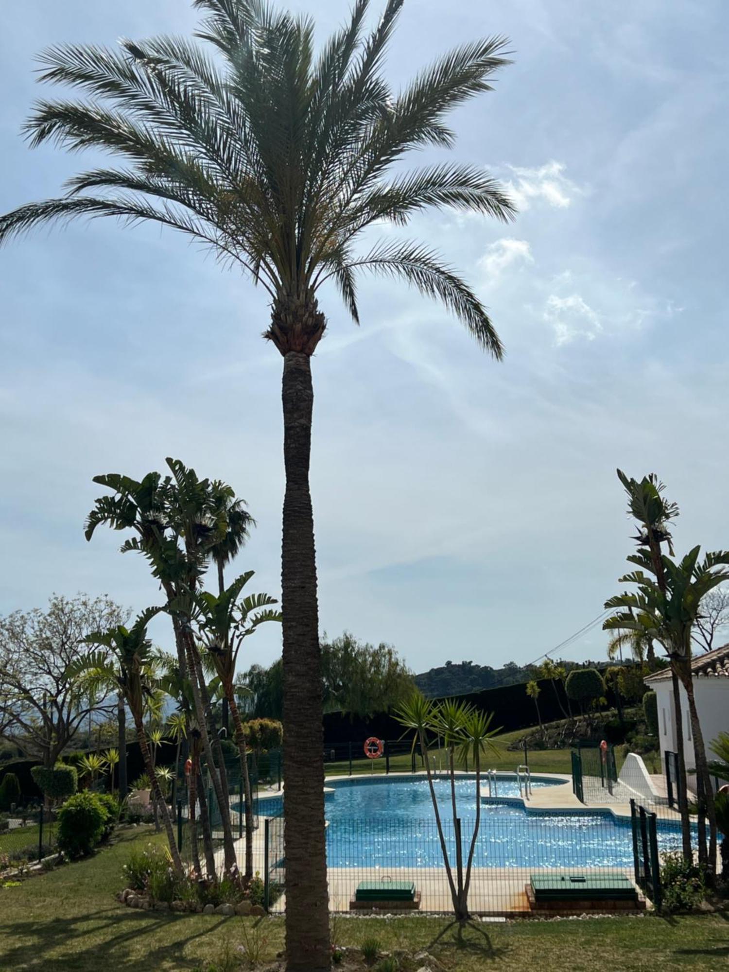 Finca San Antonio Two Bedroom Apartment With Swimming Pool Mijas Eksteriør billede